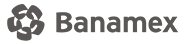 1_Bnamex.png