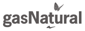 4_gasnatural.png